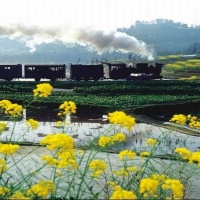 Jiayang Mini Steam Engine Train